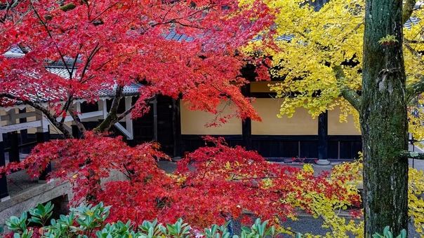 (4 K)京都紅葉2017 南禅寺 KYOTO AUTUMN NANZEN JI TEMPLE Fall