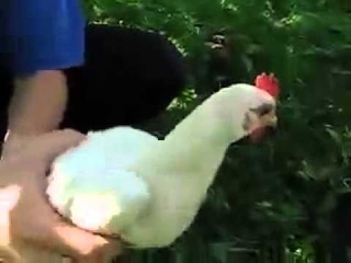 Нано Петух О_о.mp4
