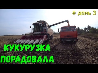 Очень НЕПРОСТАЯ  Уборка Кукурузы 2022 / РАЗГАР Уборки Кукурузы в Краснодарском Крае / ЗАКОНЧИЛИ