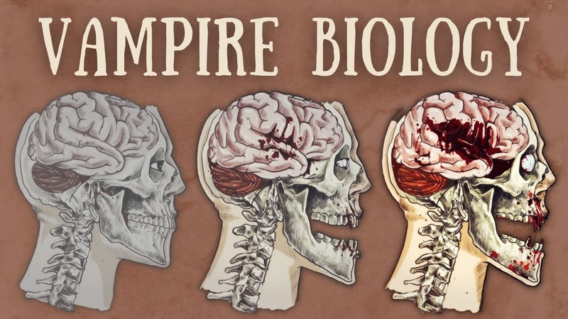 Vampire Biology Explained, The Science of