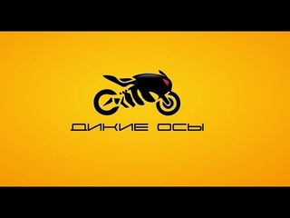 Дикие осы. Начало